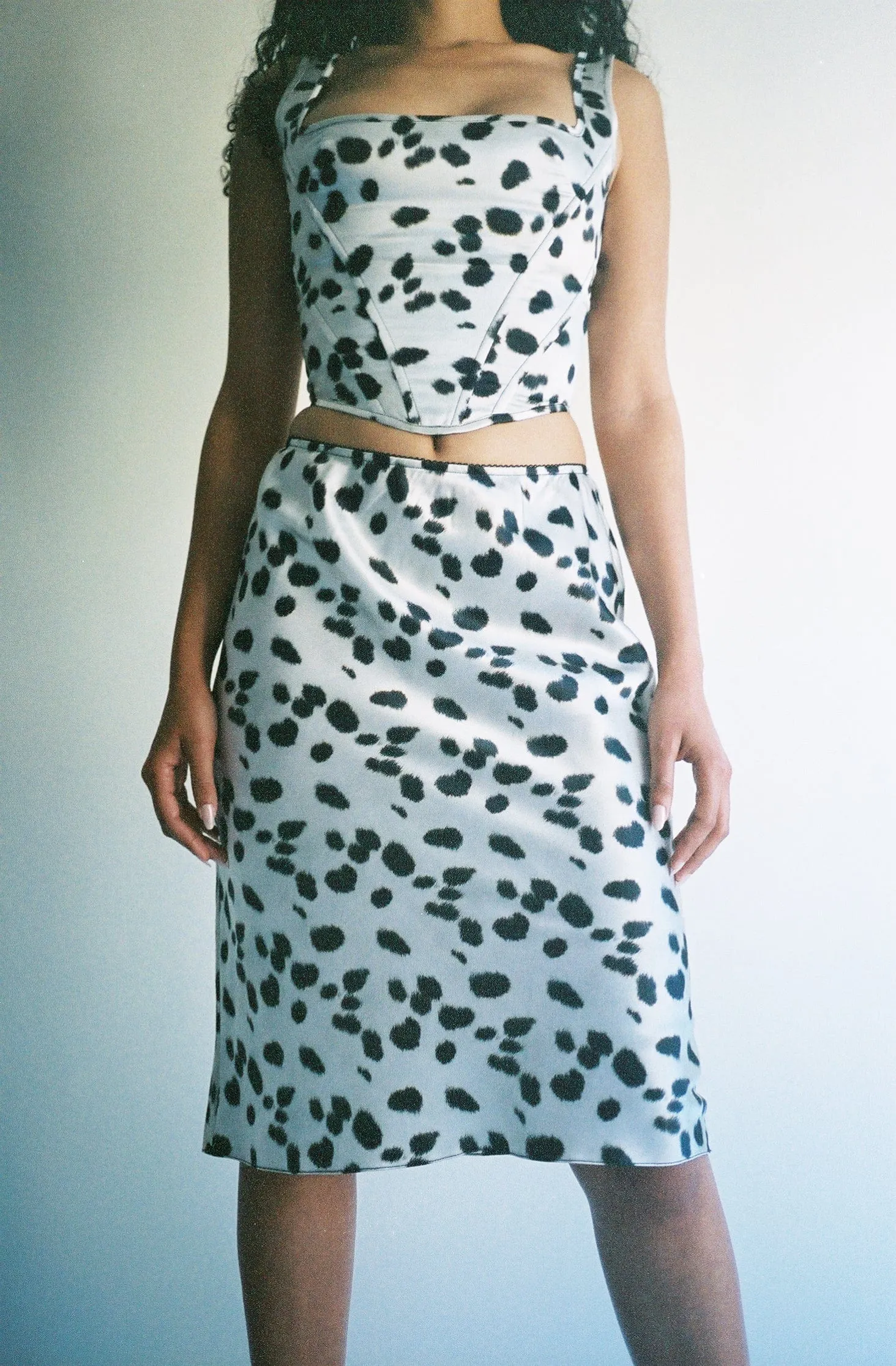 Dalmatian Slip Skirt