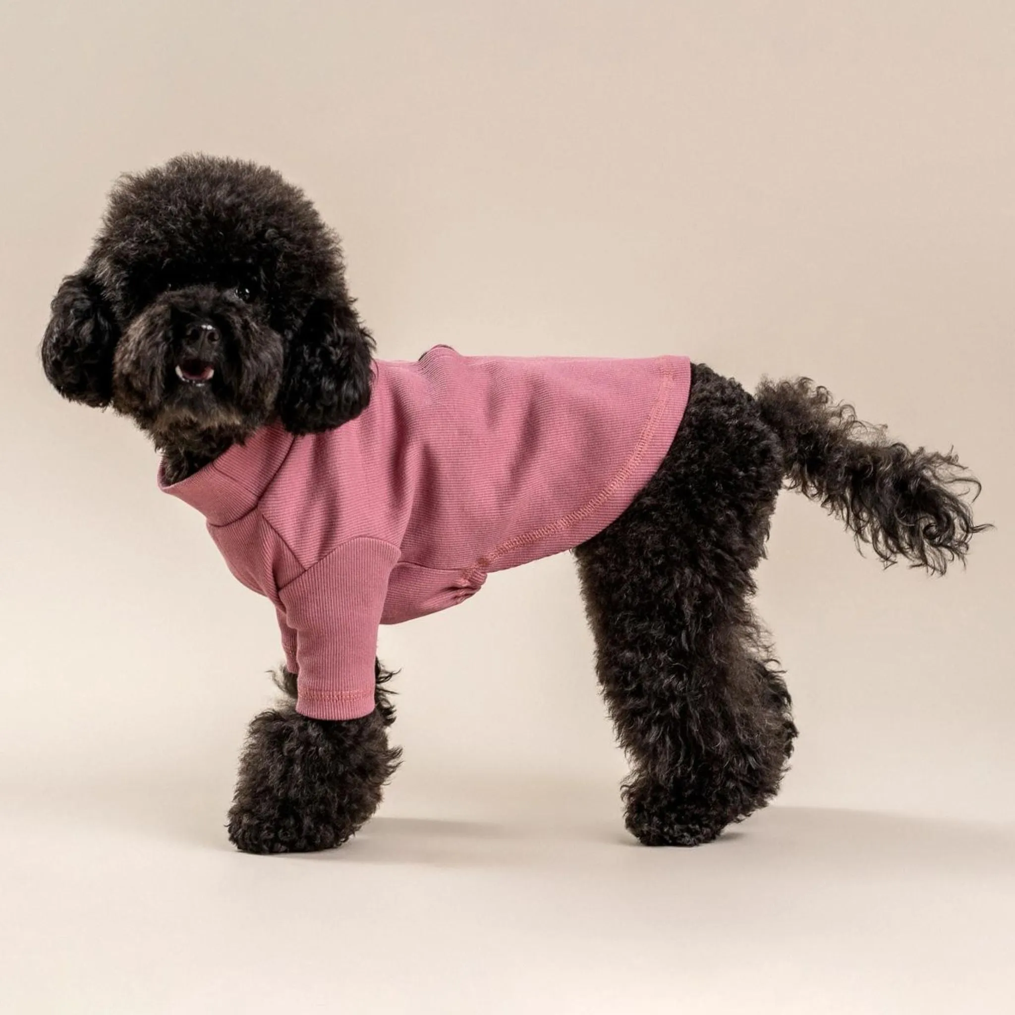 Pinky Mauve Organic Cotton Dog Mock Turtleneck Shirt