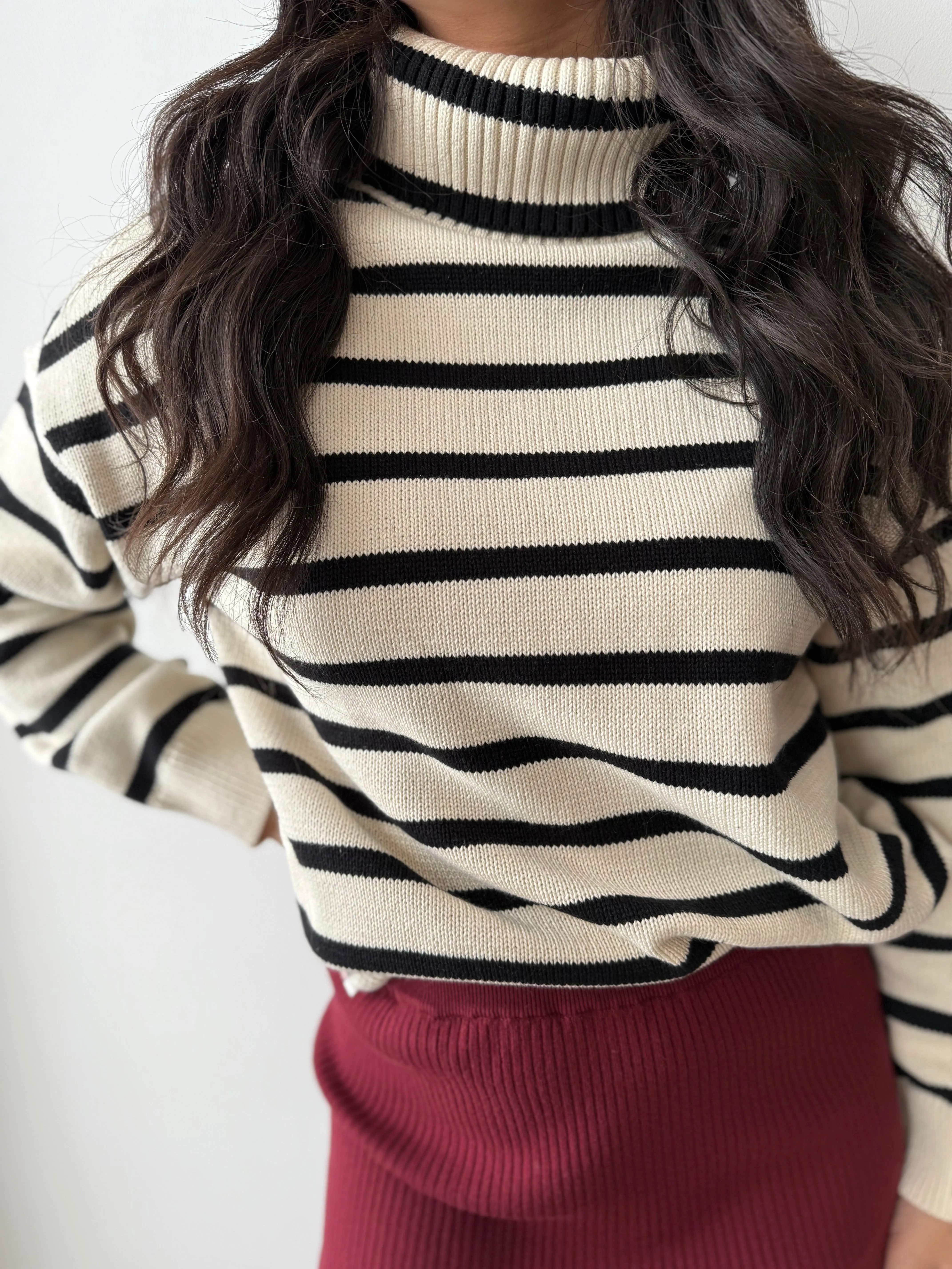 Queenie Turtleneck Sweater