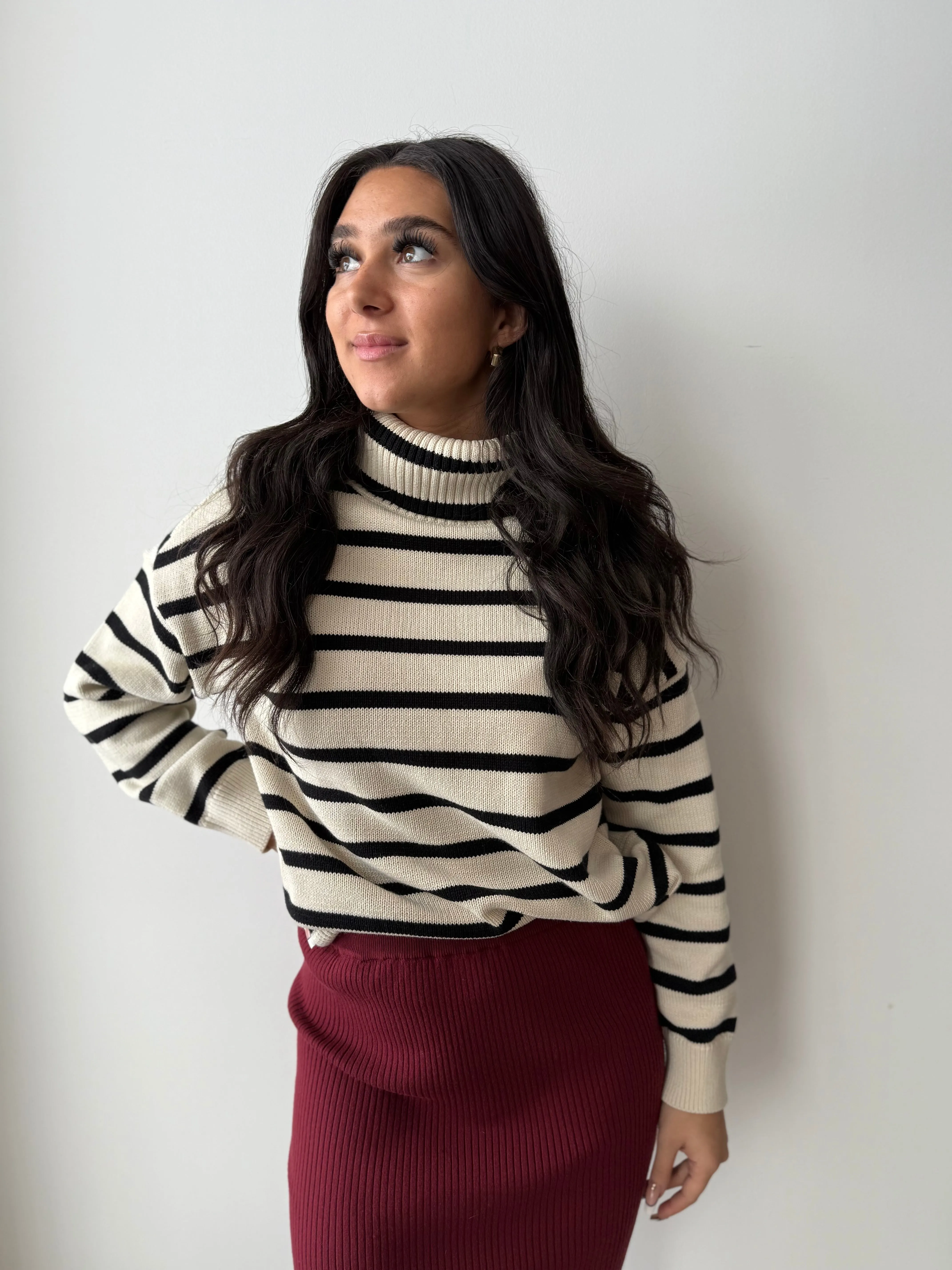 Queenie Turtleneck Sweater