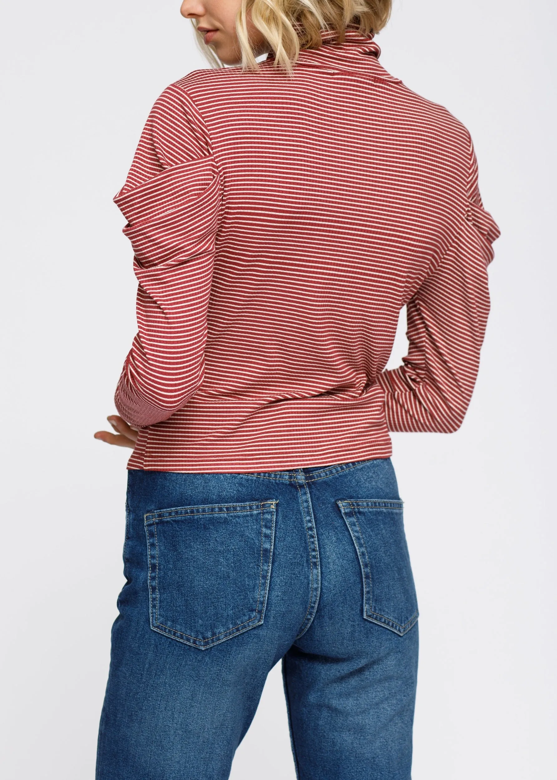 Turtle Neck Puff Sleeve Stripe Knit Top In Brick