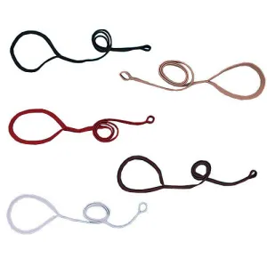 WDB Nylon Slip Lead For Dogs